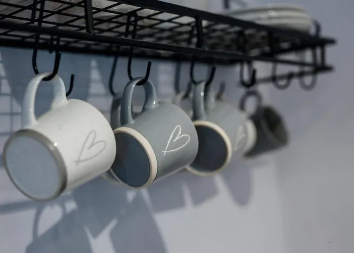 Glasswing The Holgate Hideout